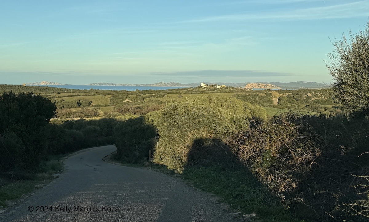 A winding road leading to the Sardinian shore